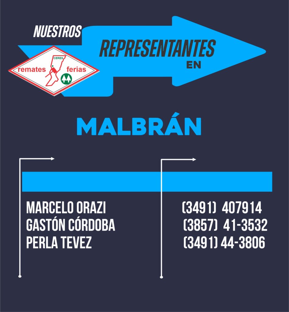 Representante Malbran