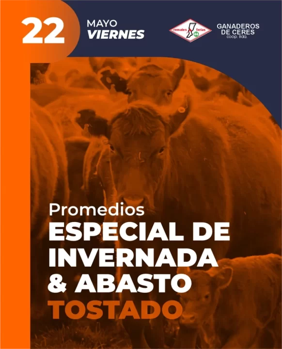 Tostado 22 de Mayo