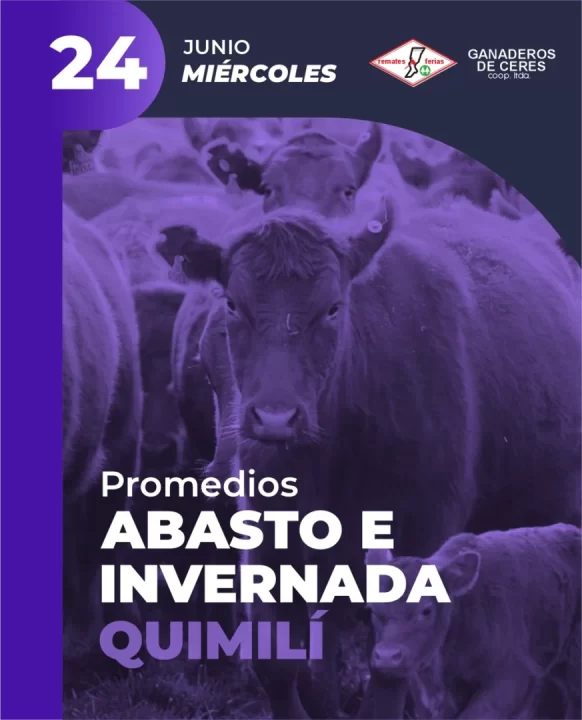 Quimilí 24 de Junio