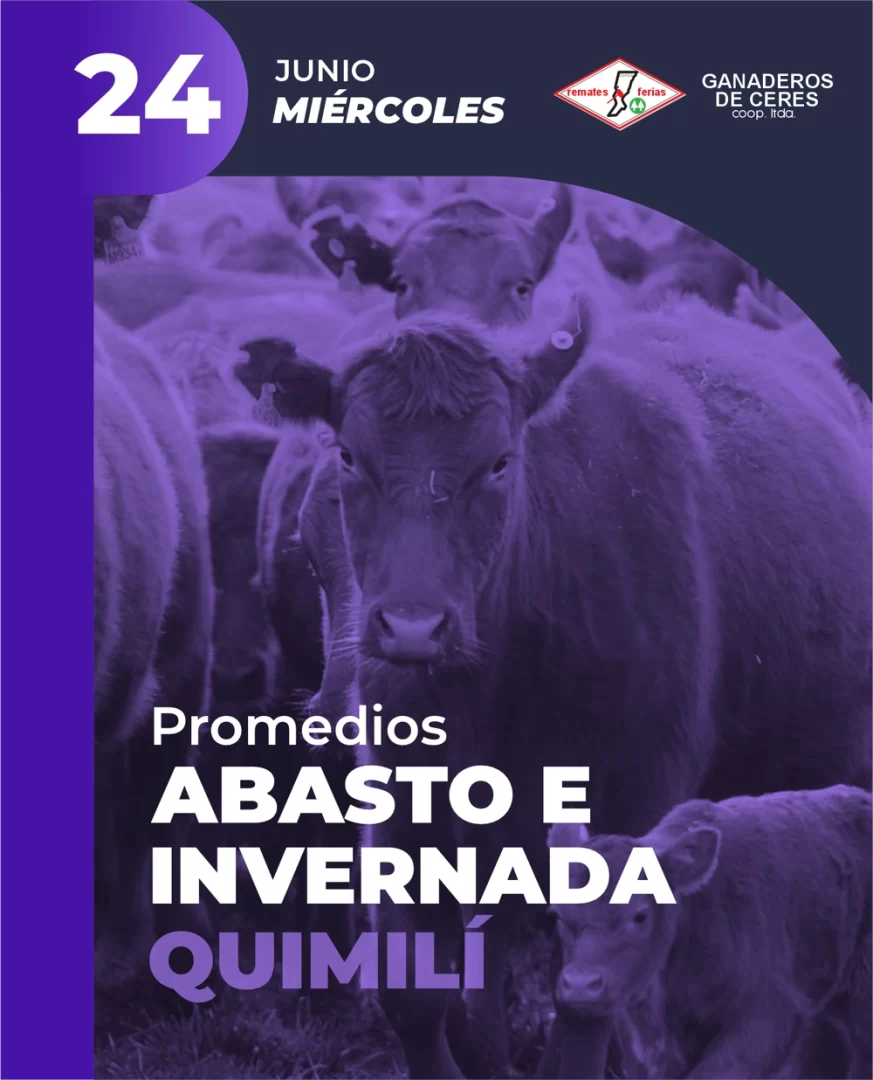 Quimilí 24 de Junio
