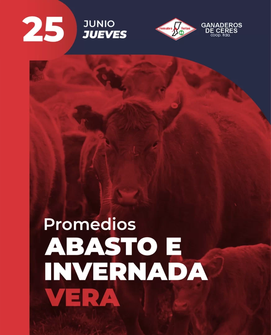 Vera 25 de Junio