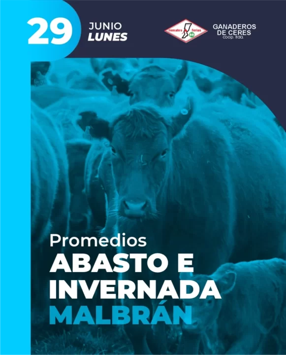 Malbrán 29 de Junio