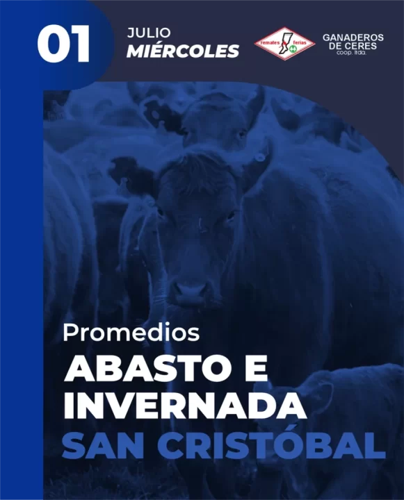 San Cristobal 1 de Julio
