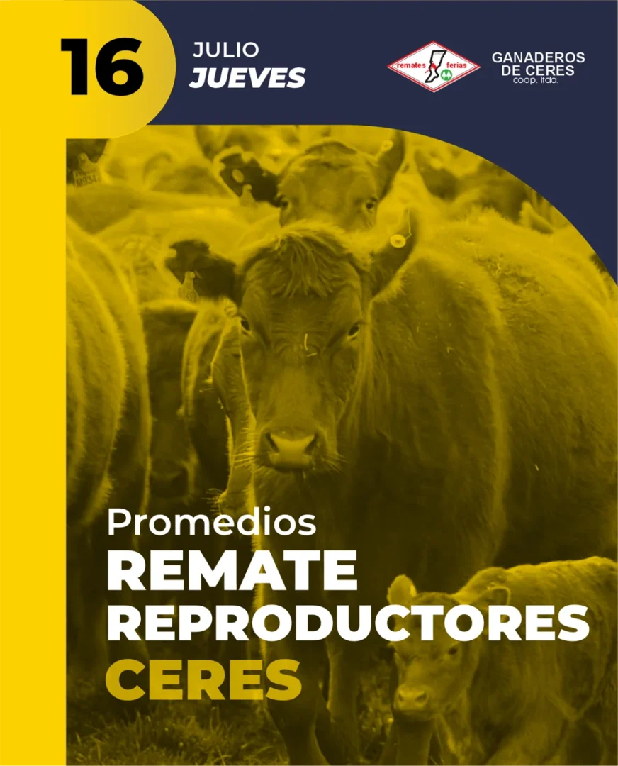 Ceres 16 de Julio